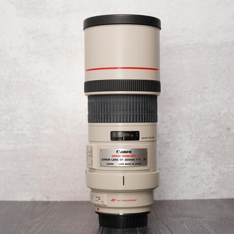 Canon EF 300mm F4L IS USM sample photo ...