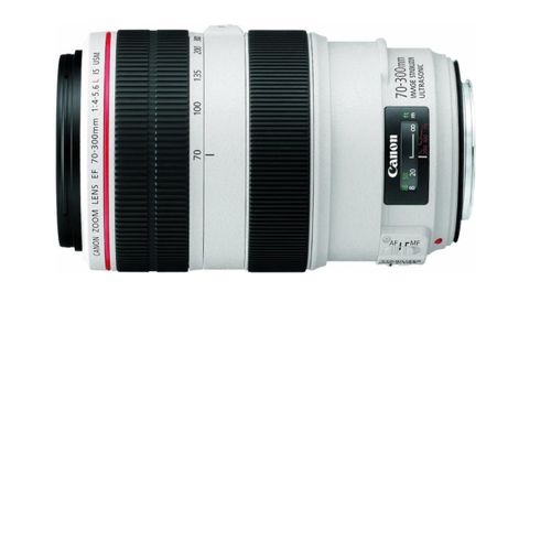 Canon 70-300mm F4-5.6 L IS USM Lens