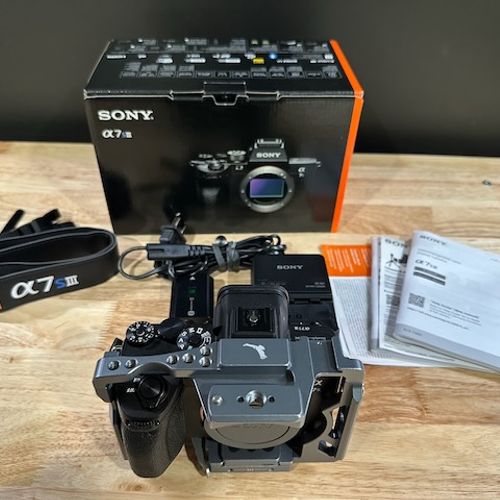 Sony A7sIII