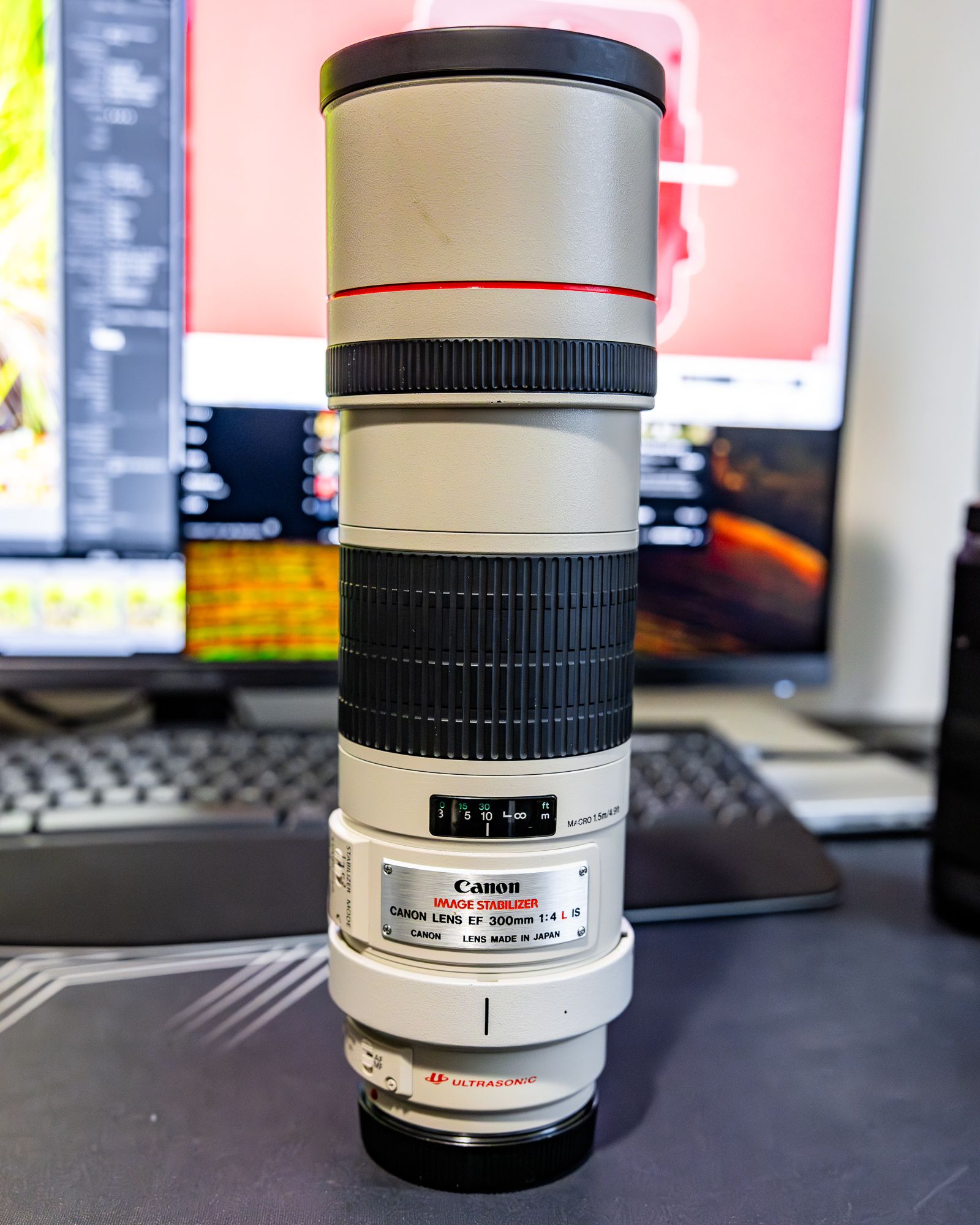 Canon EF 300mm f/4L IS + Teleconverter 2x III