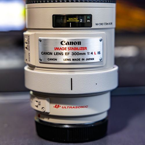 Canon EF 300mm f/4L IS + Teleconverter 2x III From Alejandro's Rotation On  Gear Focus