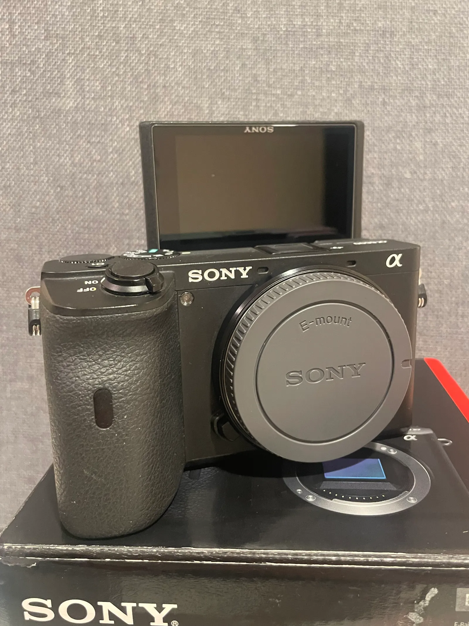 Sony A6600 Camera Body + extras From Joaquin's Gear Shop On Gear Focus