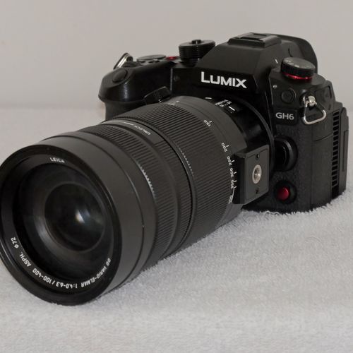 Panasonic Lumix GH6 Mirrorless Camera for Macro 4/3