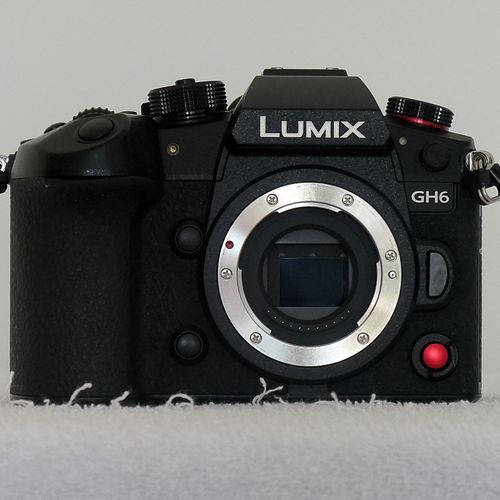 Panasonic Lumix GH6 Mirrorless Camera for Macro 4/3