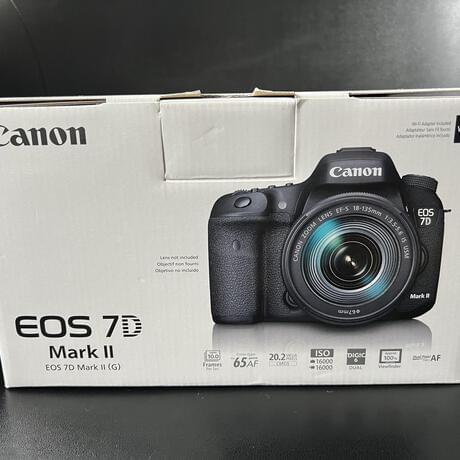 Canon EOS 7D Mark II with EF 24-105mm f/4L IS USM Lens