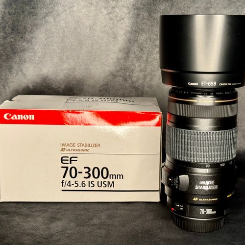 Canon EF 70-300mm f/4-5.6 IS USM