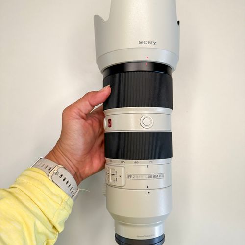 Sony 70-200mm f/2.8 G Master Telephoto Lens