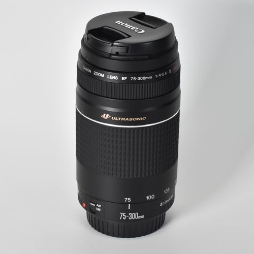 Canon EF 75-300mm f/4-5.6 III USM Telephoto Zoom Lens
