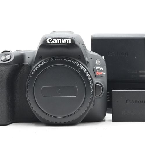 Canon EOS Rebel SL2 24.2MP Digital SLR Camera Body