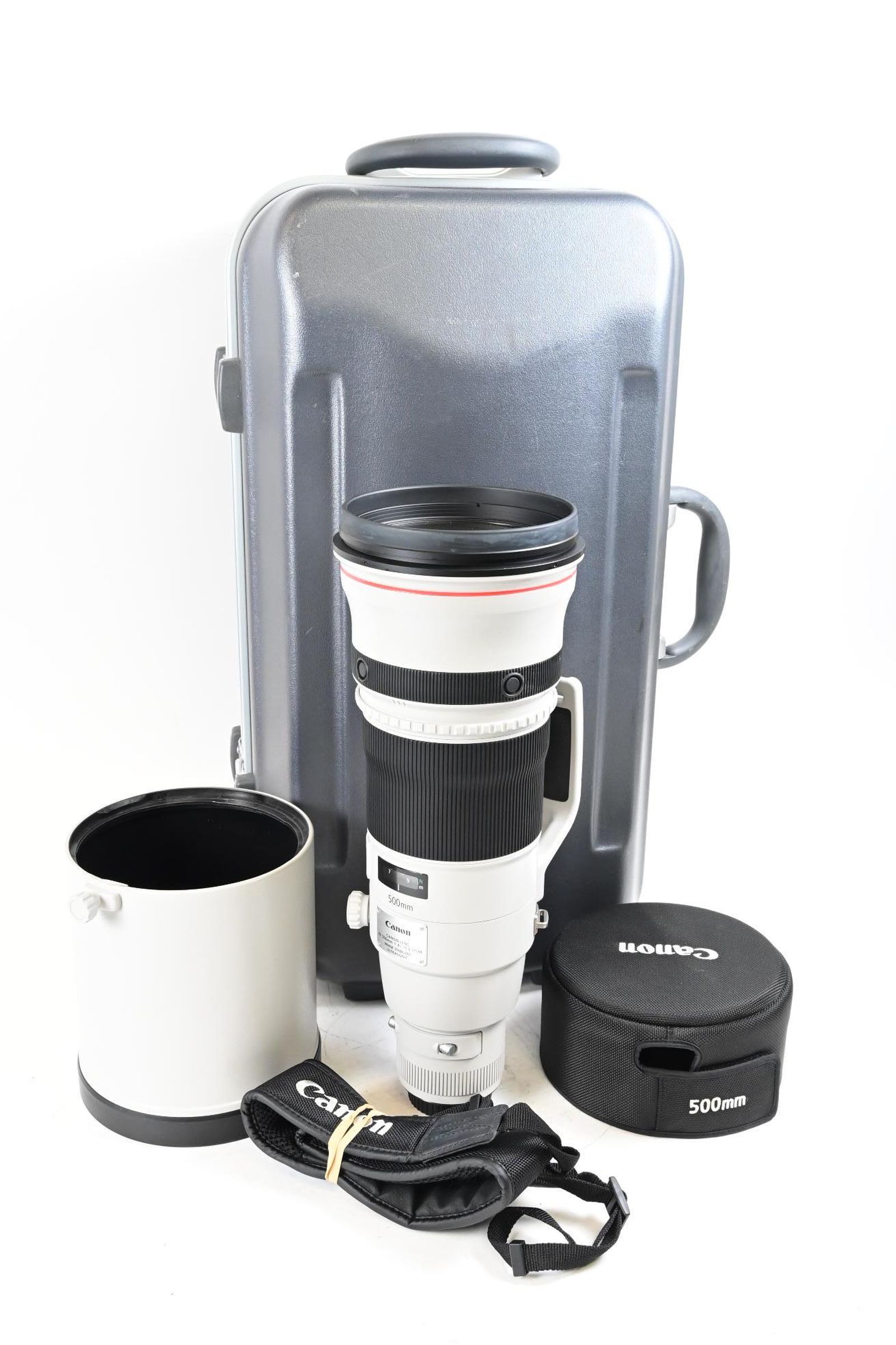 Canon EF 500mm f4 L IS II USM Lens