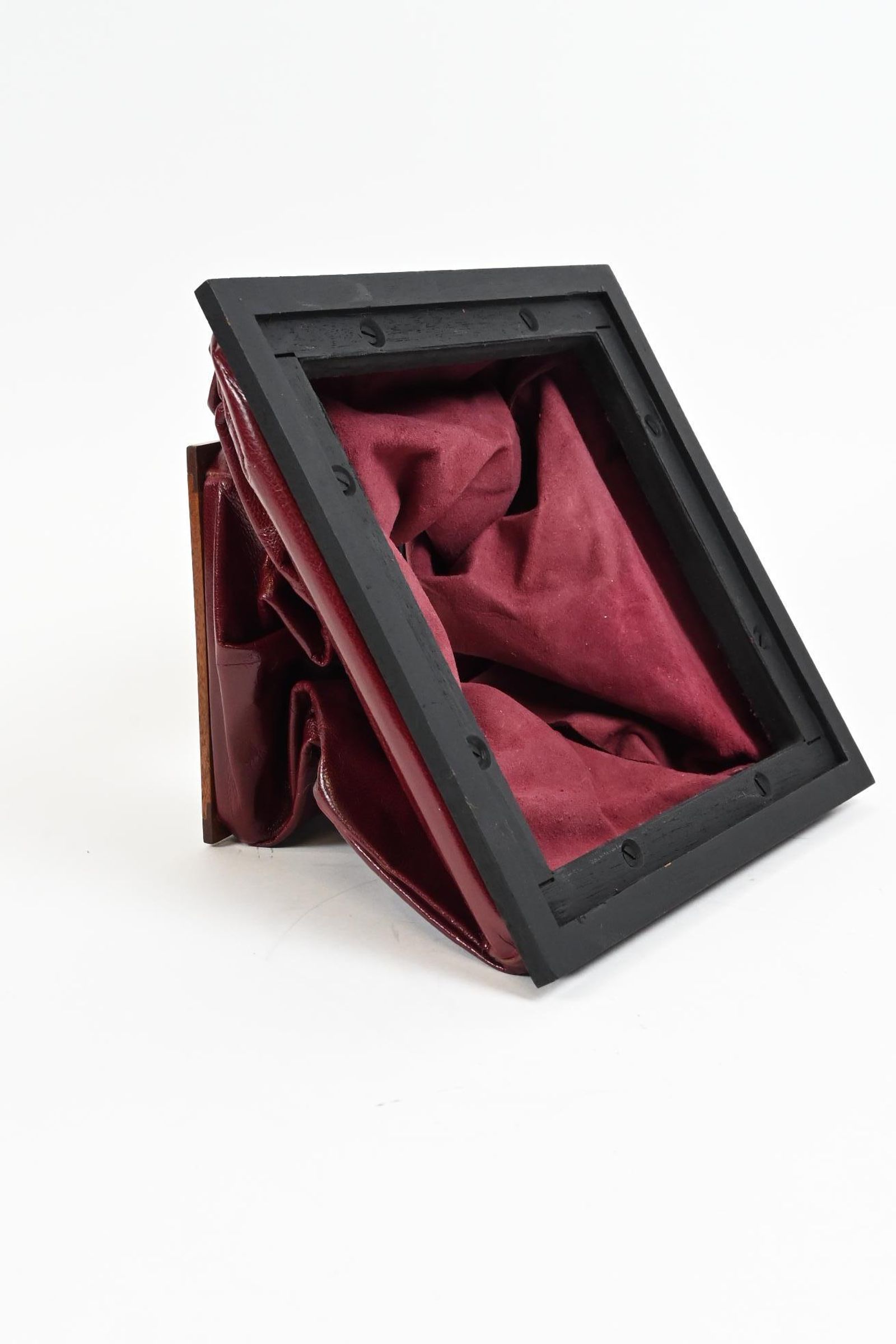 Wisner Technical Field 4X5 Wide Angle Bag Bellows