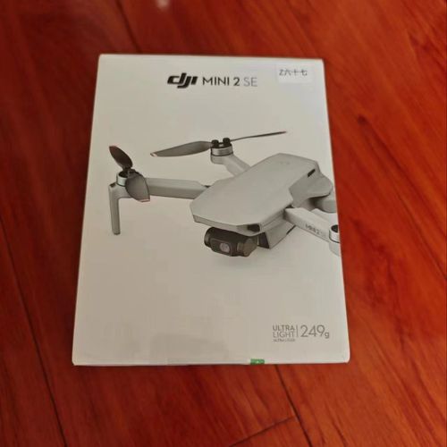 DJI Mini 2 SE - Only Drone