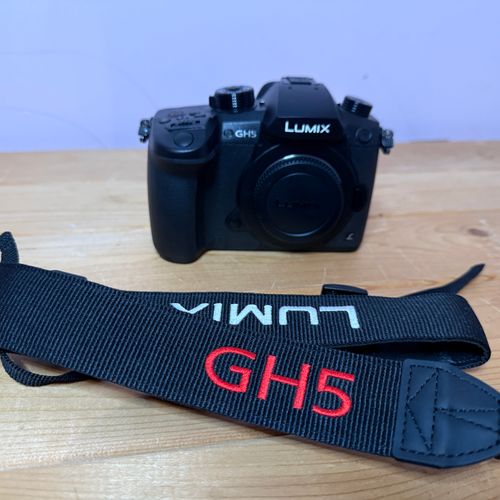Panasonic Lumix GH5 Camera (body only)