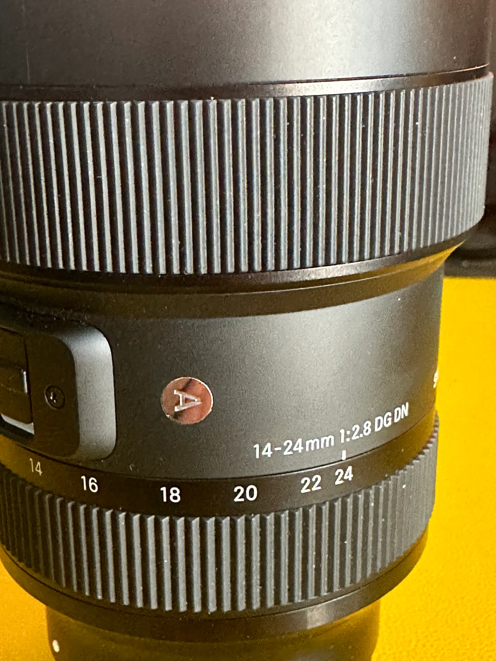Sigma 14-24 2.8 Sony E-Mount Lens